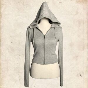 Urban Outfitters Light Gray Zip-Up Hoodie